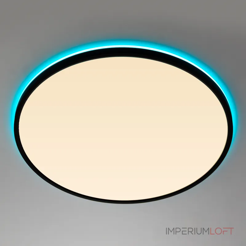 Светильник потолочный Citilux NORMA CL749501