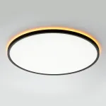 Светильник потолочный Citilux NORMA CL749501 от ImperiumLoft