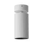Потолочный светильник Citilux AXEL CL512210R