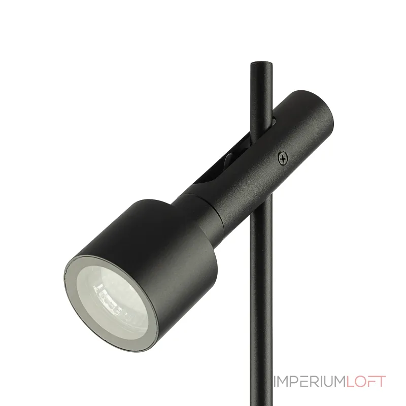 Уличный ландшафтный светильник Citilux SPOTTER CLU11B2