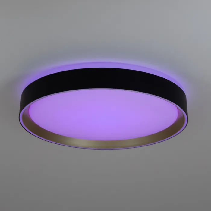 Светильник потолочный Citilux BOSS CL751351G от ImperiumLoft