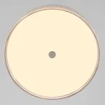 Потолочный светильник Citilux DIXON CL747400V