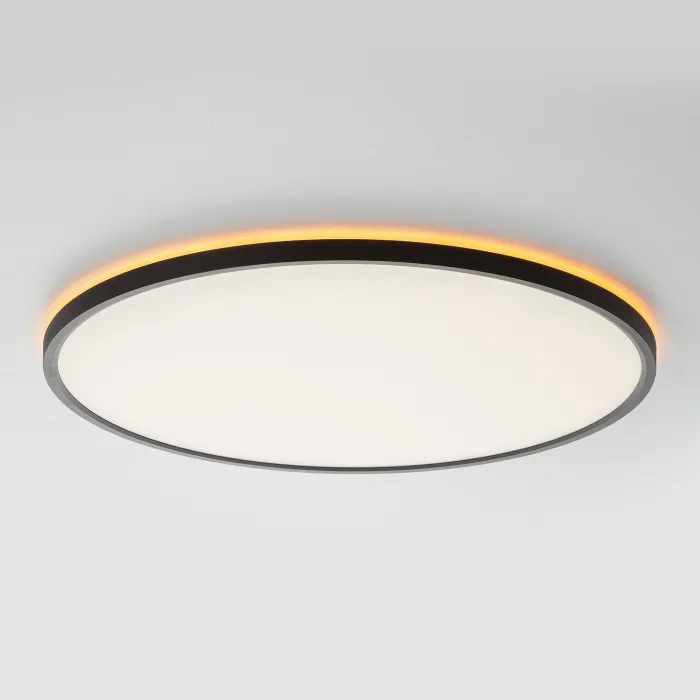 Светильник потолочный Citilux NORMA CL749501 от ImperiumLoft
