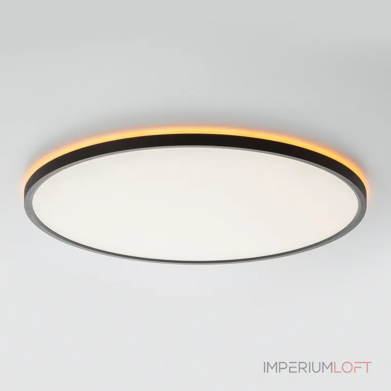 Светильник потолочный Citilux NORMA CL749501