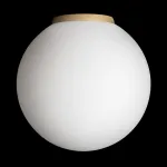 Потолочный светильник Citilux RON CL941D20B2