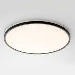 Светильник потолочный Citilux NORMA CL749501 от ImperiumLoft