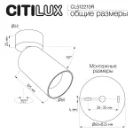 Потолочный светильник Citilux AXEL CL512210R