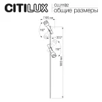 Уличный ландшафтный светильник Citilux SPOTTER CLU11B2