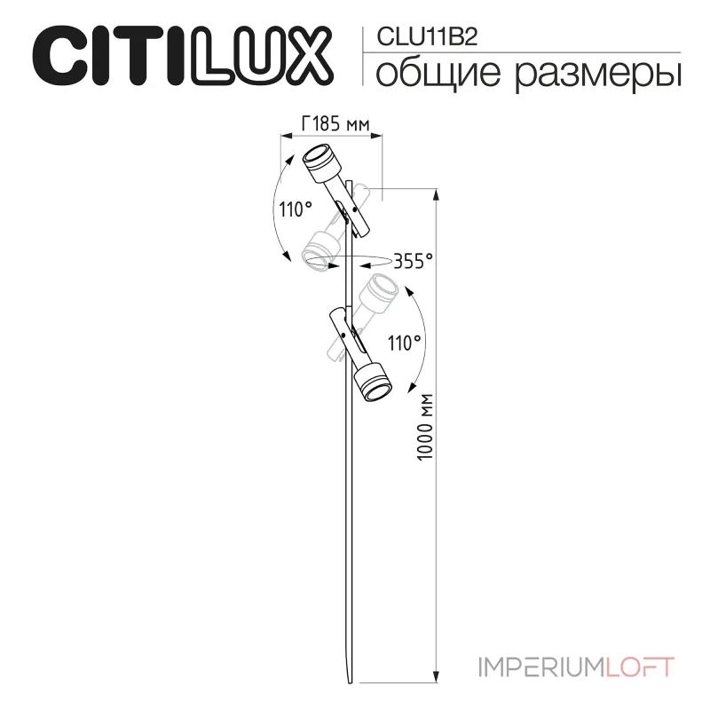 Уличный ландшафтный светильник Citilux SPOTTER CLU11B2