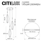Подвесная люстра Citilux TANNA CL253020