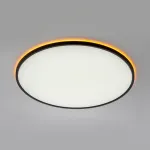 Светильник потолочный Citilux NORMA CL749601 от ImperiumLoft