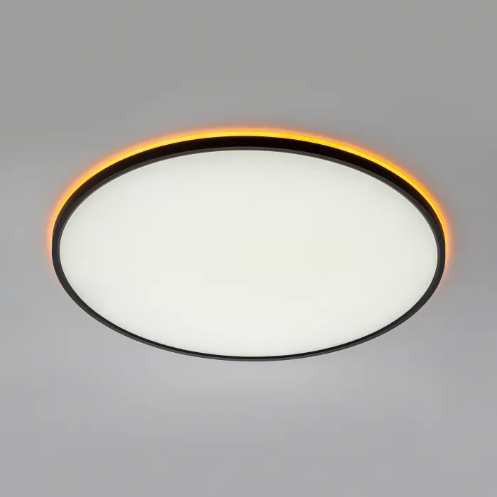 Светильник потолочный Citilux NORMA CL749601 от ImperiumLoft