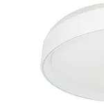 Светильник потолочный Citilux BOSS CL751450G от ImperiumLoft