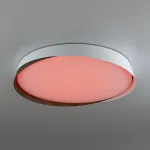 Светильник потолочный Citilux BONNY CL754450G от ImperiumLoft