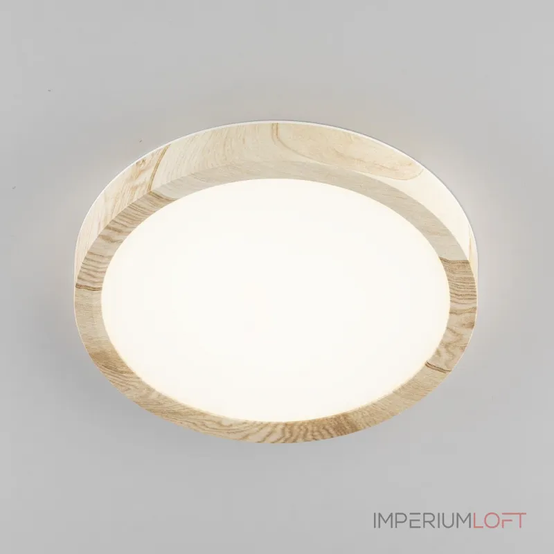 Светильник накладной Citilux Бейсик CL738122N