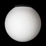 Потолочный светильник Citilux RON CL941D20B5