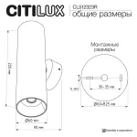 Настенный светильник Citilux AXEL CL512323R