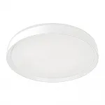 Светильник потолочный Citilux BOSS CL751450G от ImperiumLoft
