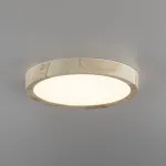 Светильник накладной Citilux Бейсик CL738122N