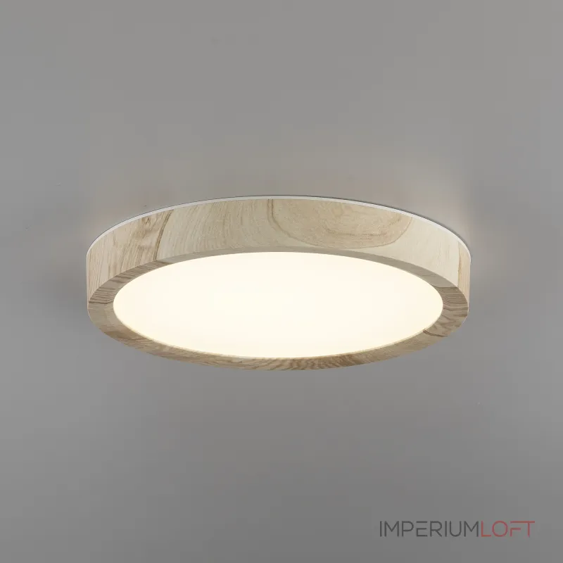 Светильник накладной Citilux Бейсик CL738122N