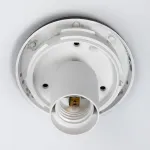 Потолочный светильник Citilux RON CL941D20B5