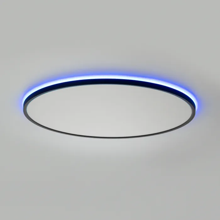 Светильник потолочный Citilux NORMA CL749601 от ImperiumLoft