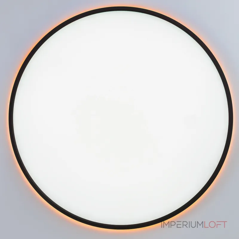 Светильник потолочный Citilux NORMA CL749601