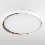 Светильник потолочный Citilux BONNY CL754450G от ImperiumLoft