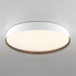 Светильник потолочный Citilux BONNY CL754450G от ImperiumLoft