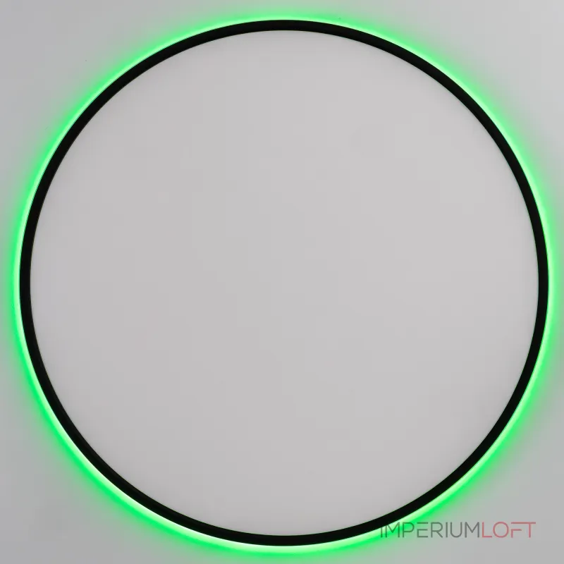 Светильник потолочный Citilux NORMA CL749601