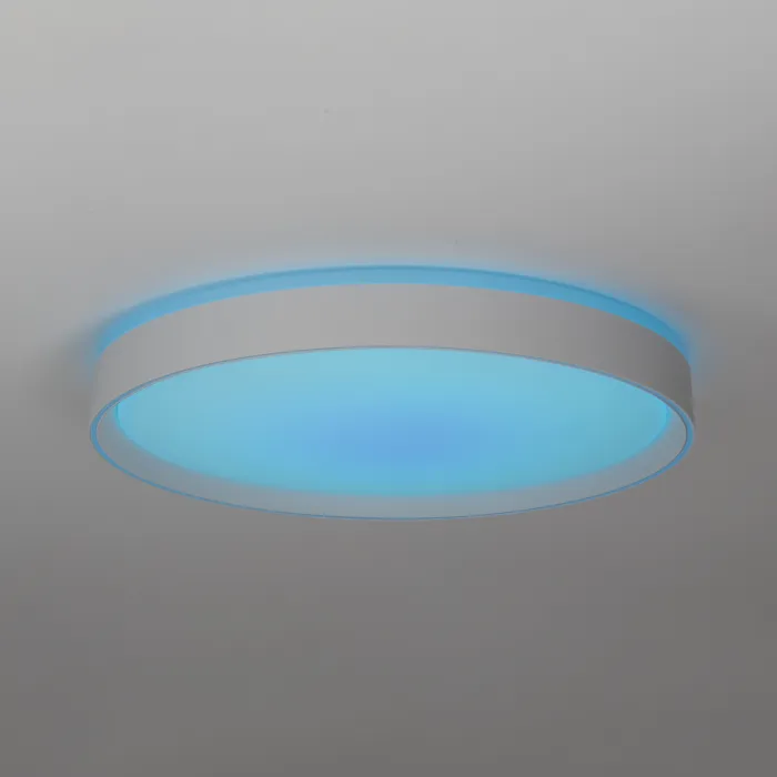 Светильник потолочный Citilux BOSS CL751450G от ImperiumLoft