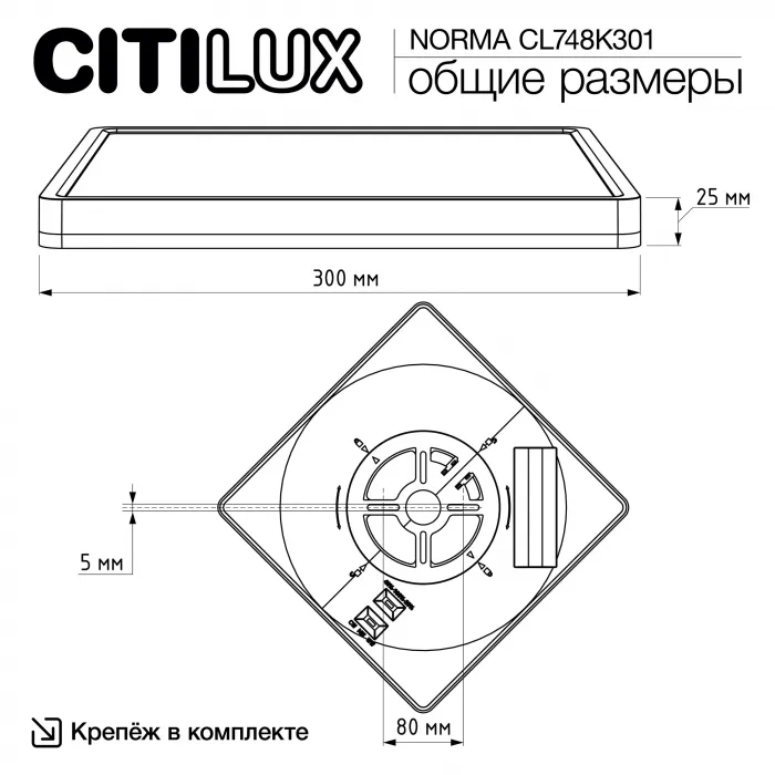 Светильник накладной Citilux NORMA CL748K301 от ImperiumLoft