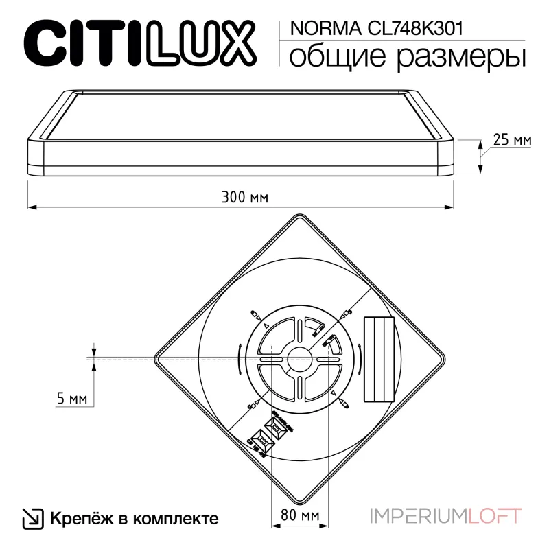 Светильник накладной Citilux NORMA CL748K301