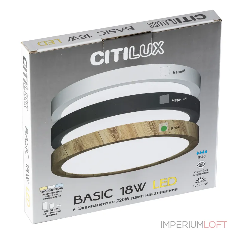 Светильник накладной Citilux Бейсик CL738122N