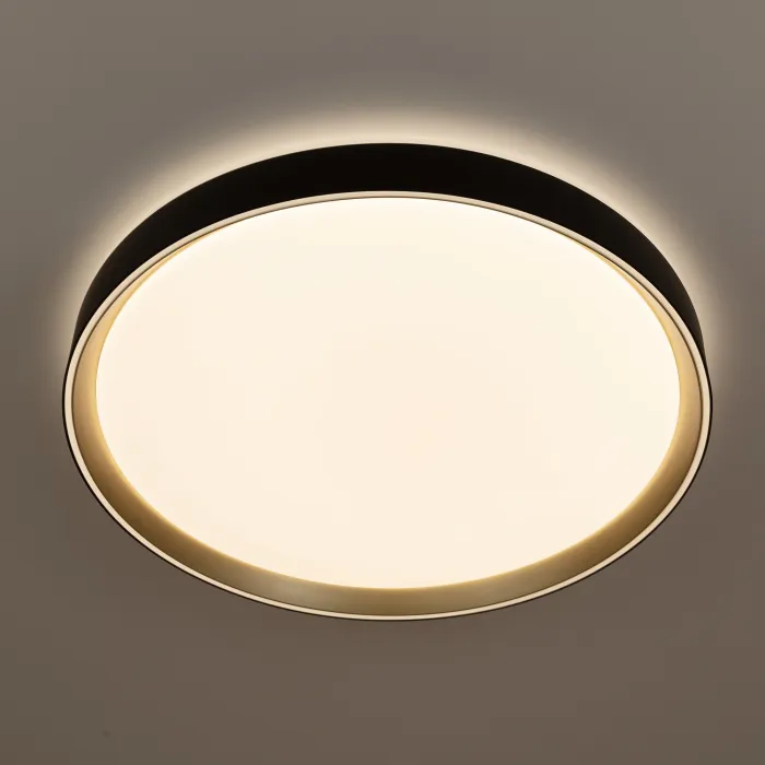 Светильник потолочный Citilux BOSS CL751451G от ImperiumLoft