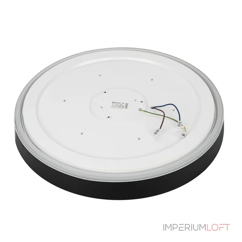 Светильник потолочный Citilux BOSS CL751451G