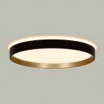 Светильник с пультом Citilux ETALON CL750321R LED RGB