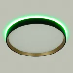 Светильник с пультом Citilux ETALON CL750321R LED RGB