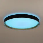 Светильник потолочный Citilux BOSS CL751451G от ImperiumLoft
