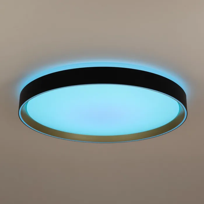 Светильник потолочный Citilux BOSS CL751451G от ImperiumLoft