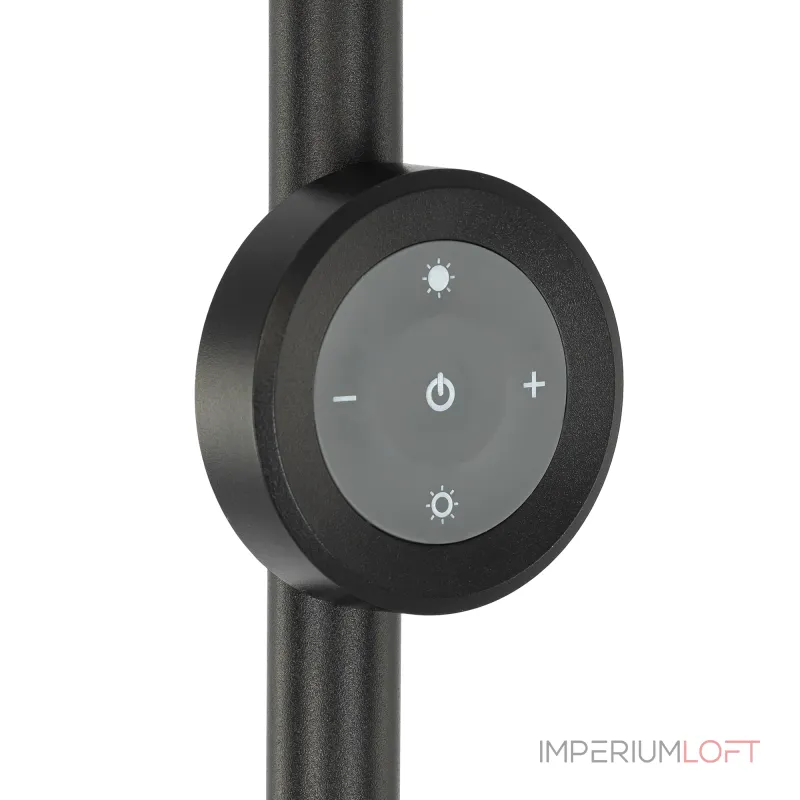 Торшер Citilux LOONG CL810031