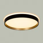 Светильник с пультом Citilux ETALON CL750321R LED RGB