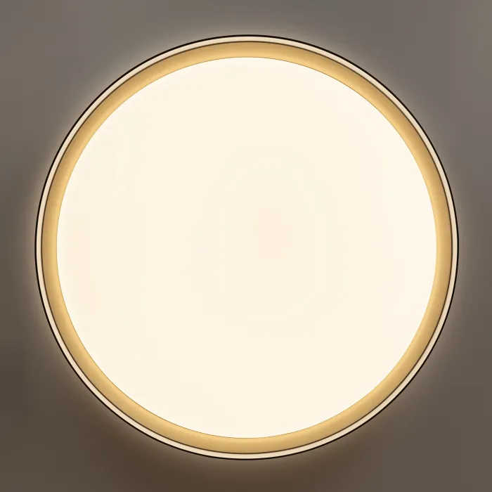 Светильник потолочный Citilux BOSS CL751451G от ImperiumLoft