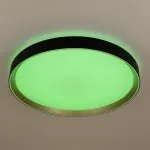Светильник потолочный Citilux BOSS CL751451G от ImperiumLoft
