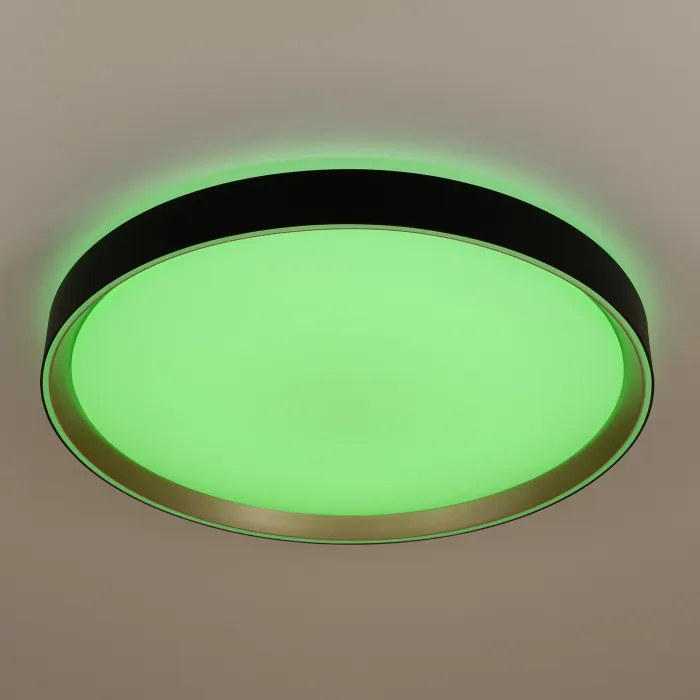 Светильник потолочный Citilux BOSS CL751451G от ImperiumLoft