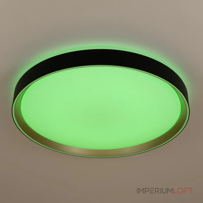 Светильник потолочный Citilux BOSS CL751451G