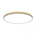 Светильник с подсветкой Citilux NORMA CL748500 LED