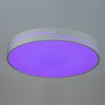 Светильник потолочный Citilux Купер Лайн CL72470GL0