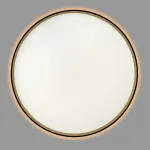 Светильник с пультом Citilux ETALON CL750501R LED RGB