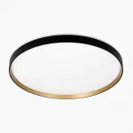 Светильник с пультом Citilux ETALON CL750501R LED RGB